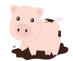 pig